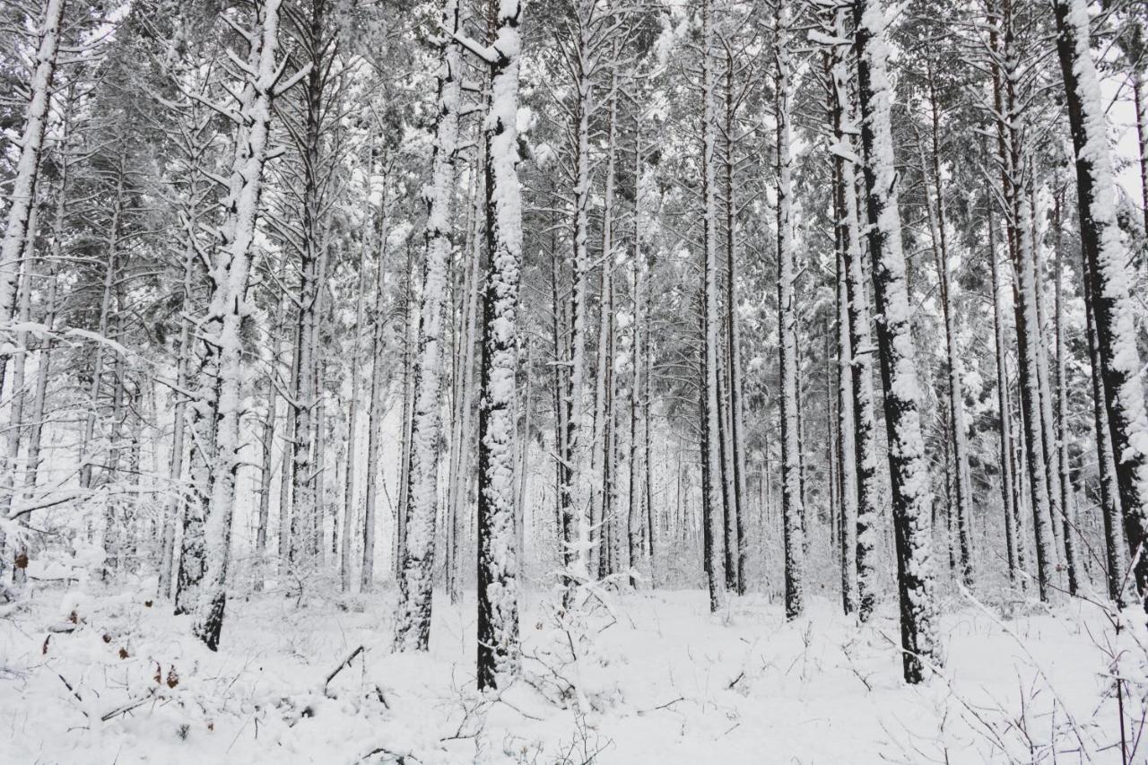 Jarzebinowa - Dom Do Wynajecia Na Podlasiu Luka エクステリア 写真