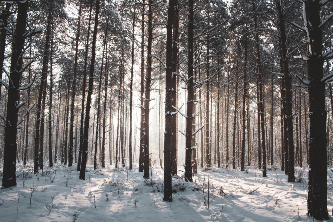 Jarzebinowa - Dom Do Wynajecia Na Podlasiu Luka エクステリア 写真