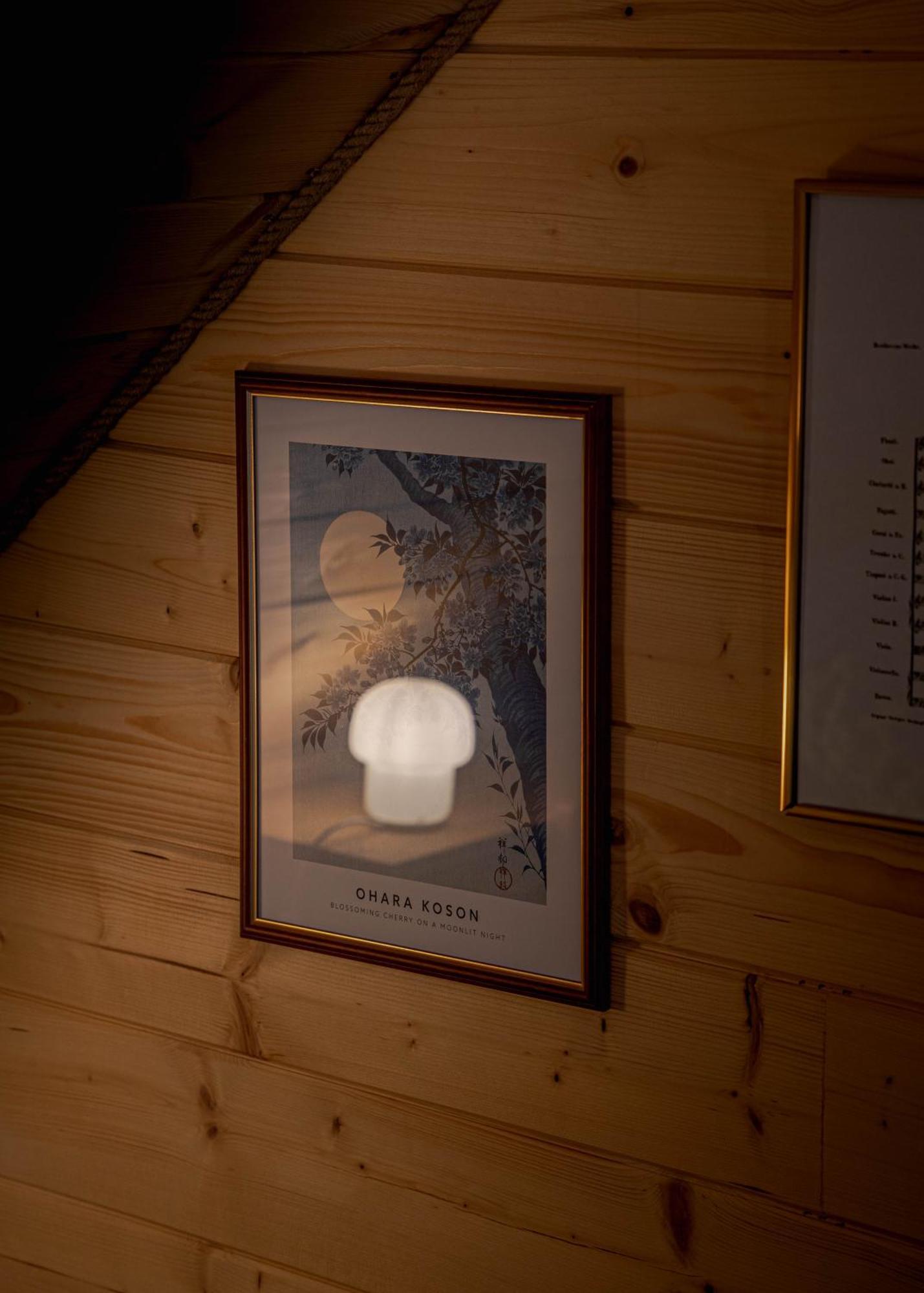 Jarzebinowa - Dom Do Wynajecia Na Podlasiu Luka エクステリア 写真